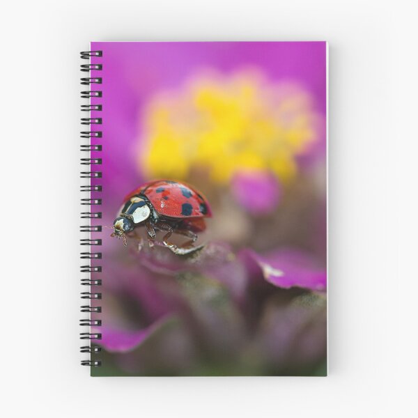Item preview, Lady Bug Beauty designed and sold by Brenda Burnett.
