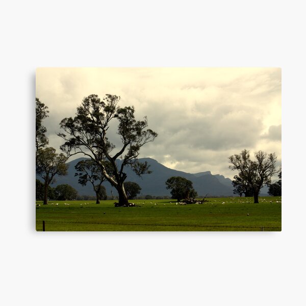 Item preview, grampians designed and sold by fazza.