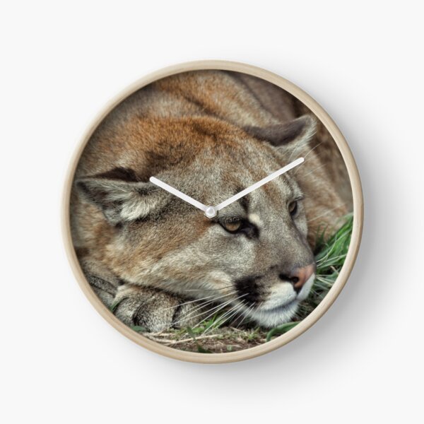 Item preview, Keep Your Head Low designed and sold by Karen Peron.