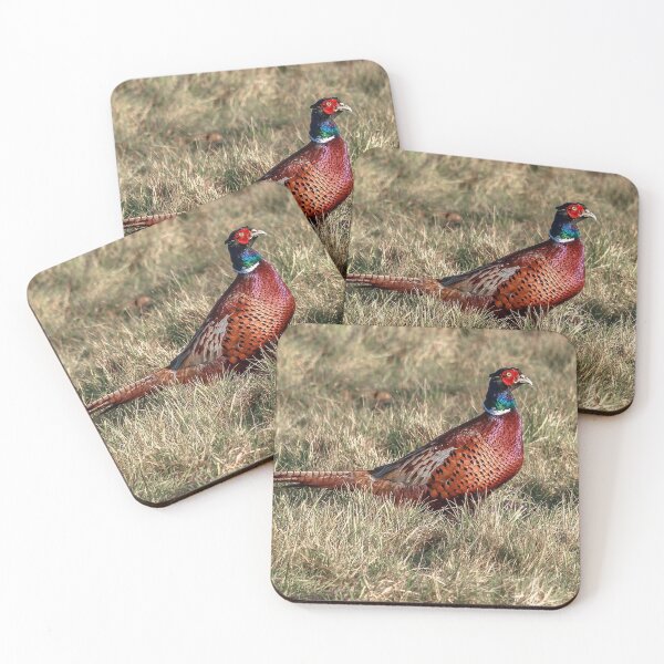Item preview, Pheasant designed and sold by Strawflower Oasis.