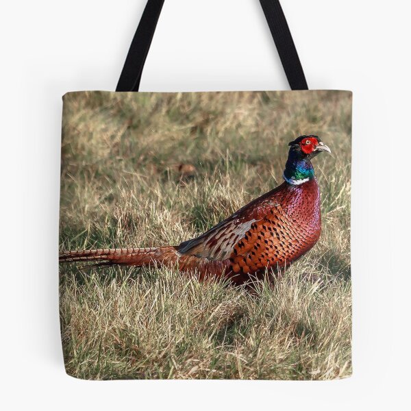 Item preview, Pheasant designed and sold by Strawflower Oasis.