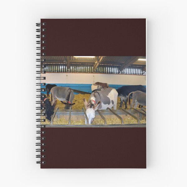 Item preview, Lunch in the Barn ............. designed and sold by lynn carter.