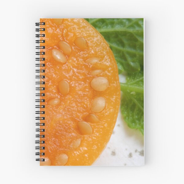 Item preview, Physalis designed and sold by SmoothBreeze7 | Liz Collet Photography.