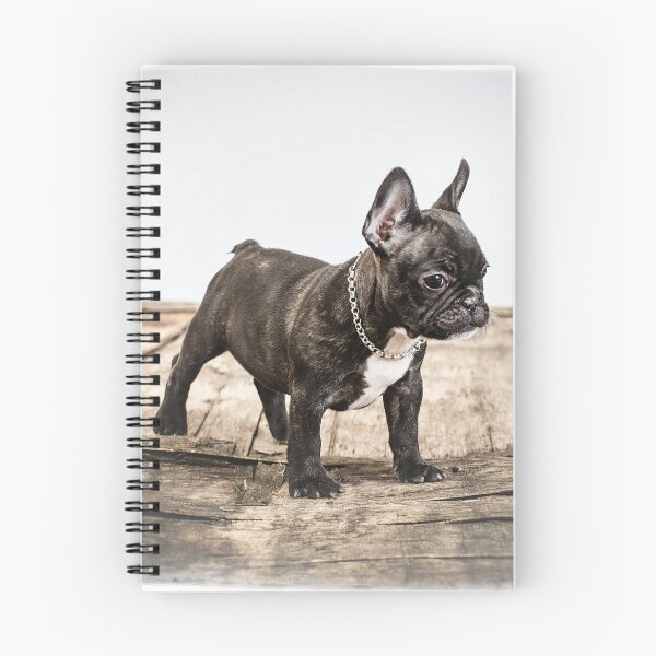 Item preview, French bulldog portrait designed and sold by Studio13lights.