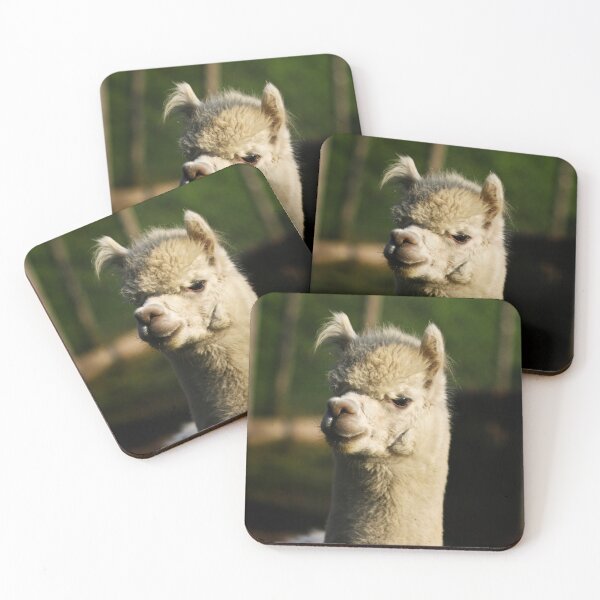 Item preview, Alpaca designed and sold by laura-S.