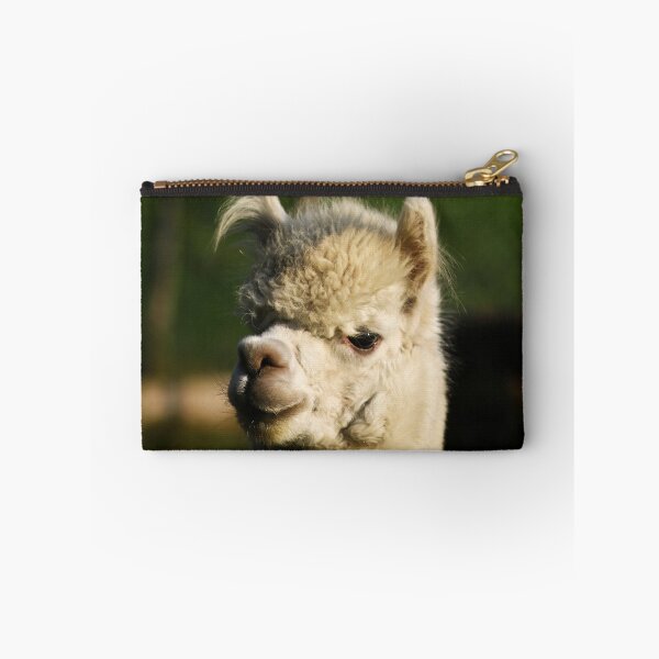 Item preview, Alpaca designed and sold by laura-S.