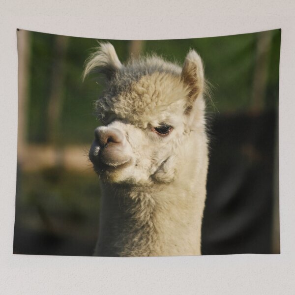 Item preview, Alpaca designed and sold by laura-S.