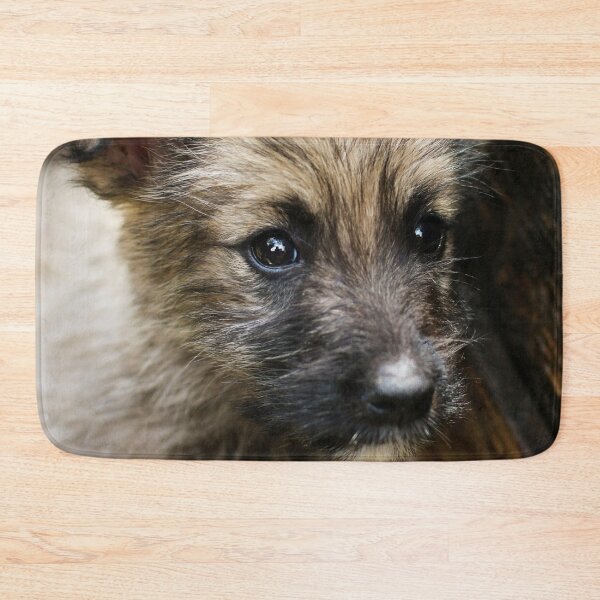 Item preview, Dog street dog designed and sold by laura-S.