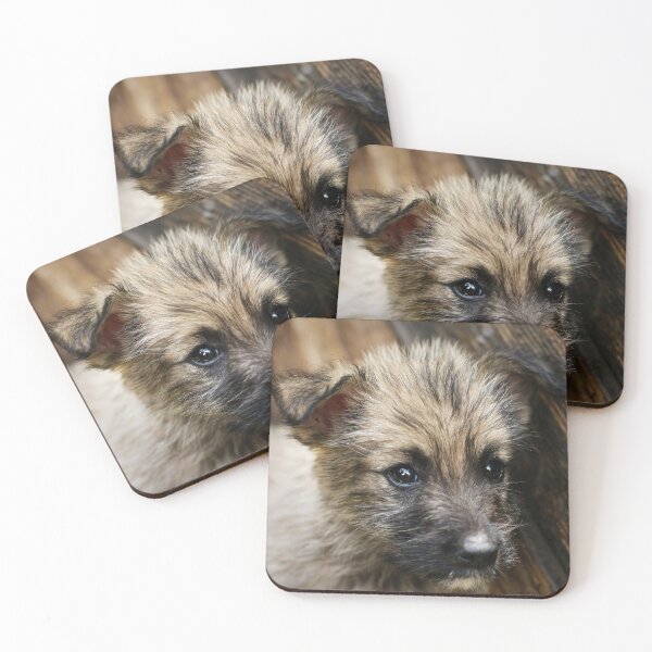 Item preview, Dog street dog designed and sold by laura-S.