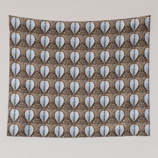 Item preview, shells designed and sold by KathleenDawson.