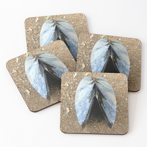 Item preview, shells designed and sold by KathleenDawson.