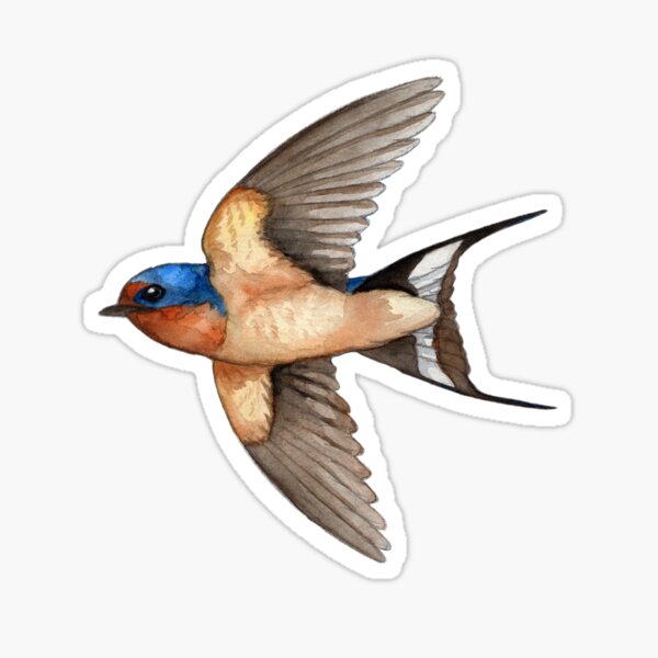 Item preview, Watercolor Barn Swallow designed and sold by Roxanne Gasperetti.