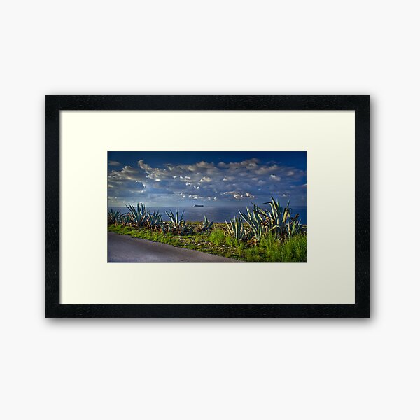 Filfla Malta Framed Art Print