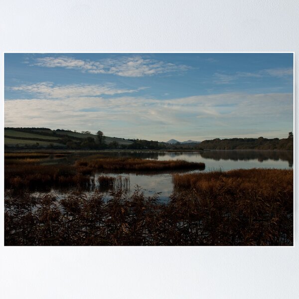 Item preview, Autumn at the Quoile Pondage designed and sold by Jon Lees.
