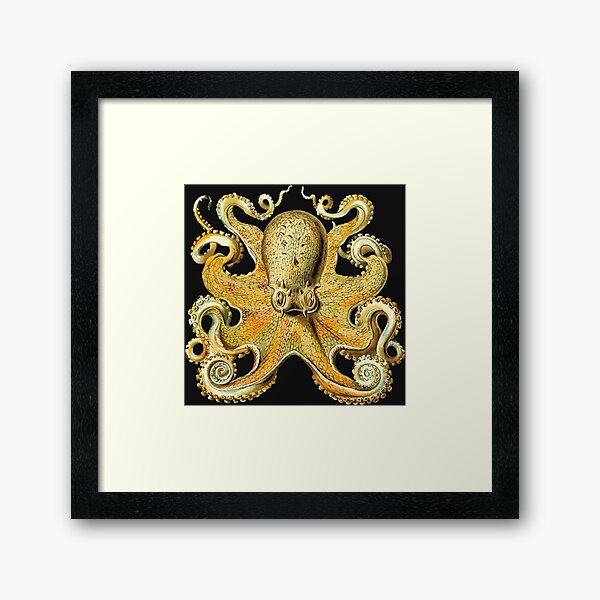 Item preview, Octopus designed and sold by ZombeeMunkee.