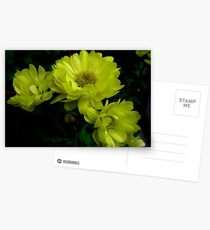Amarillas ................................ Postcards