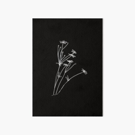 Artikel-Vorschau von Minimalistische Schwarzweiss-Gänseblümchen | Boho Wildblumen Art, designt und verkauft von brabikate.