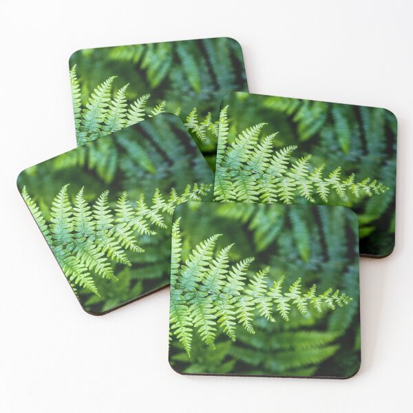 Item preview, Ferns in the rain    I designed and sold by Geoff Shoults.