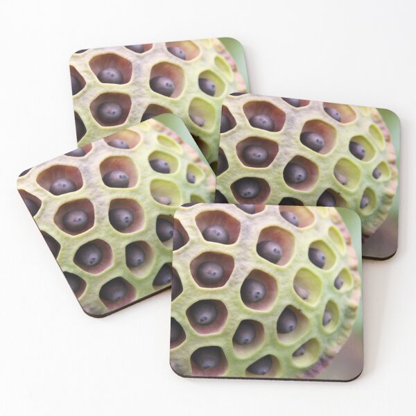 Item preview, Lotus Seed Art designed and sold by coffeebean.