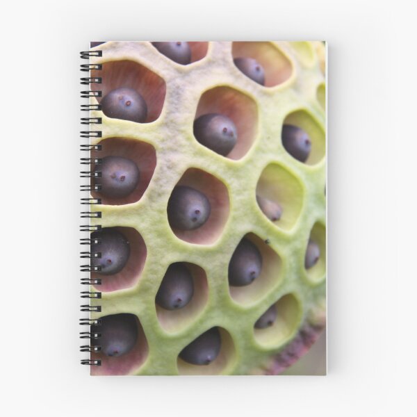 Item preview, Lotus Seed Art designed and sold by coffeebean.