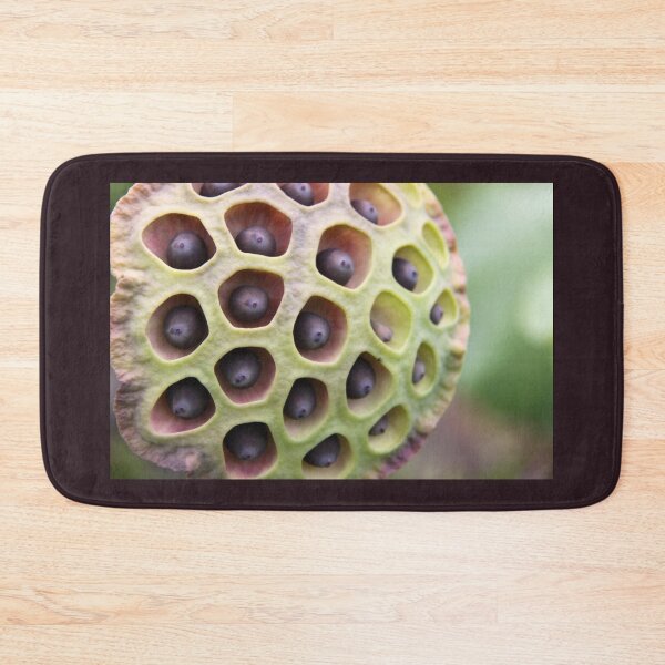 Item preview, Lotus Seed Art designed and sold by coffeebean.