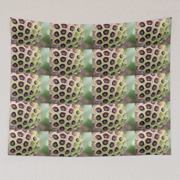 Item preview, Lotus Seed Art designed and sold by coffeebean.