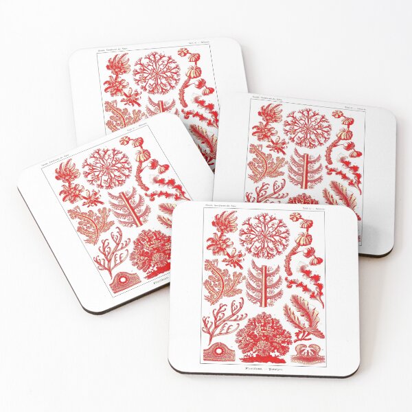 Item preview, Plate 65. Florideae, red algae (now Rhodophyceae). designed and sold by Squirrox.