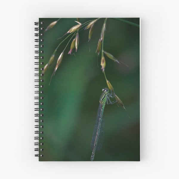 Item preview, WHEN IT RAINS... YOU WILL FIND US AS DAMSEL DROPLETS designed and sold by NICK COBURN PHILLIPS.