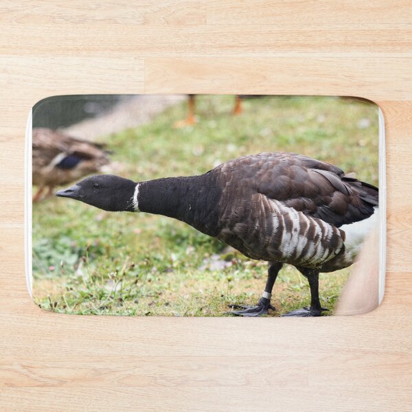 Item preview, Defensive brent goose designed and sold by GreyFeatherPhot.