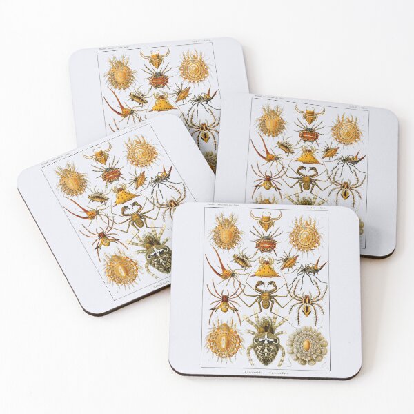 Item preview, Plate 66. Spiders, a world-wide class of invertebrate animals. designed and sold by Squirrox.
