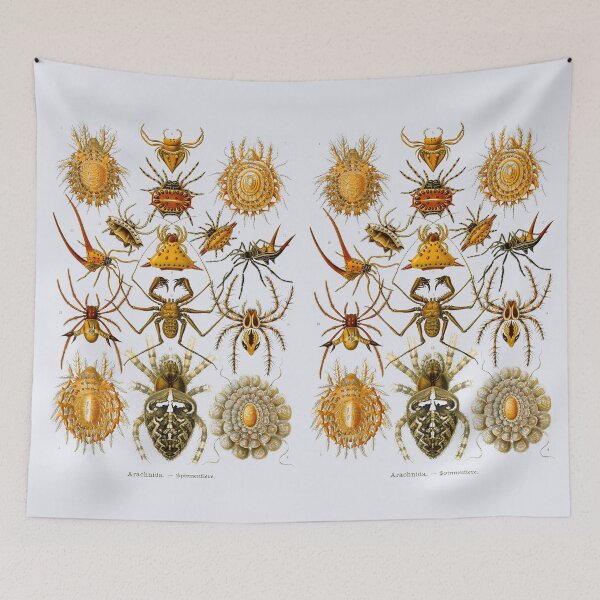 Item preview, Plate 66. Spiders, a world-wide class of invertebrate animals. designed and sold by Squirrox.