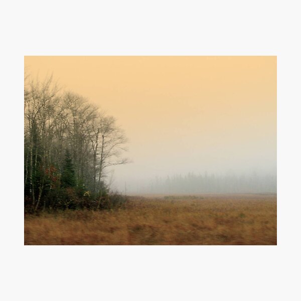 Artikelvorschau, The Day the Leaves Went Away entworfen und verkauft von Patty Gross.