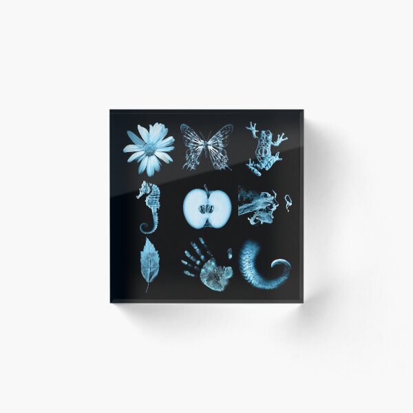 All nine glyphs of Fringe Acrylic Block
