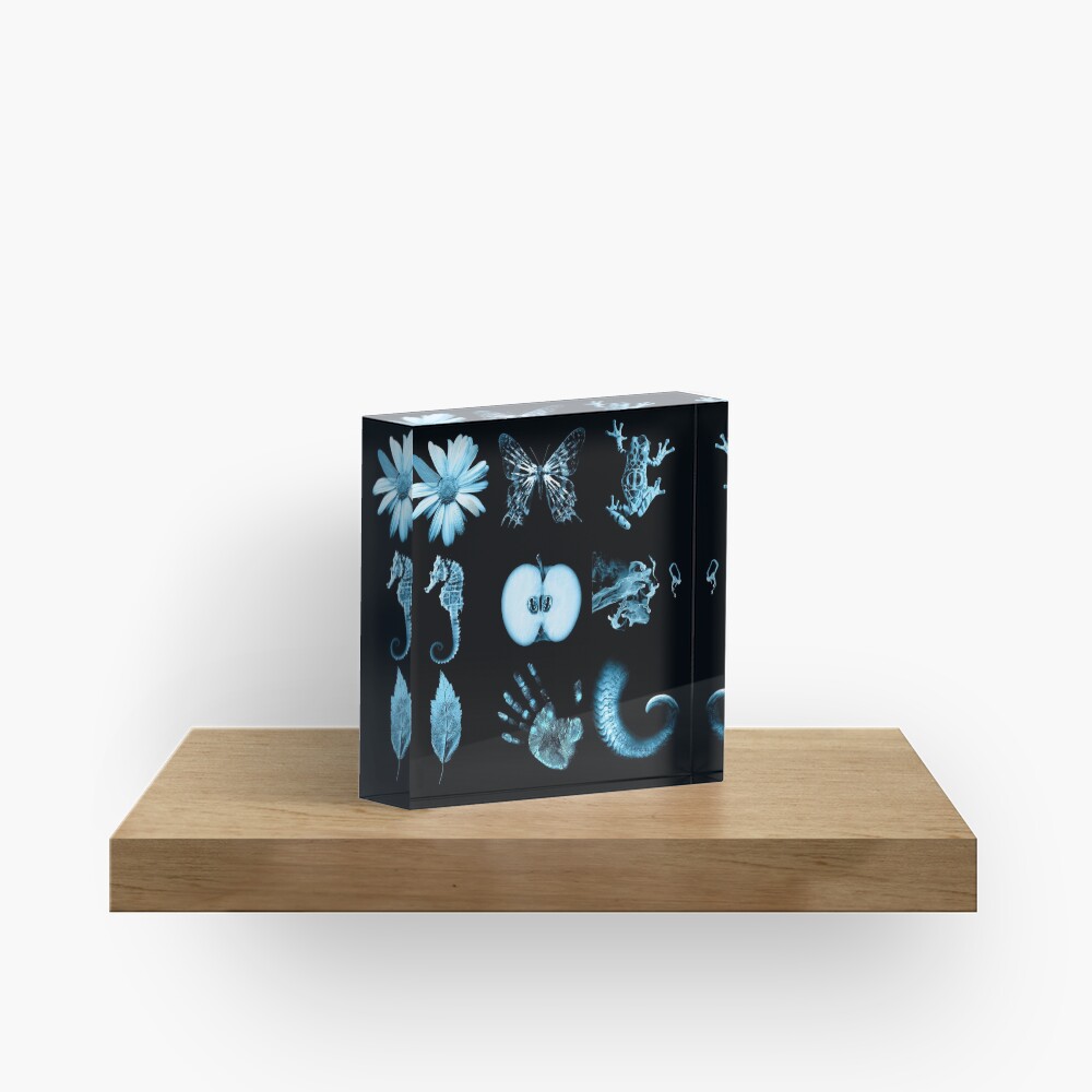 All nine glyphs of Fringe Acrylic Block