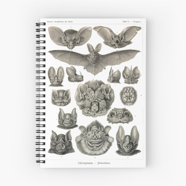 Item preview, Plate 67. Bats. designed and sold by Squirrox.