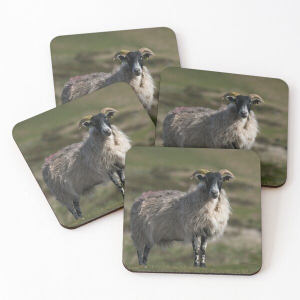 Item preview, Scottish Blackface designed and sold by rawshutterbug.