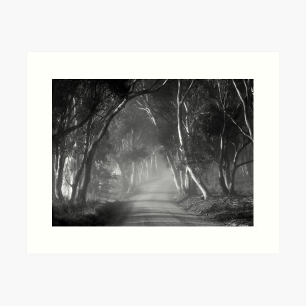 Item preview, ~ Follow Me II ~ designed and sold by LeeoPhotography.