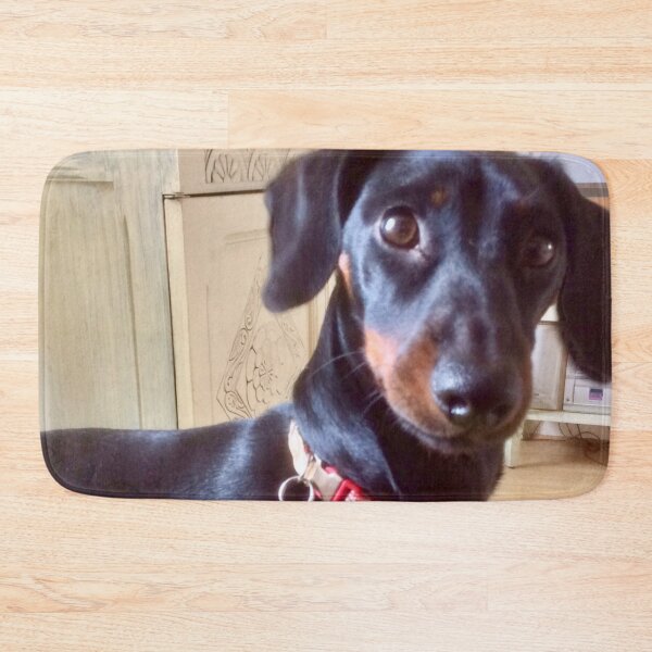 Item preview, Inquisitive Layla moment  designed and sold by Angela Haig-Harrison.