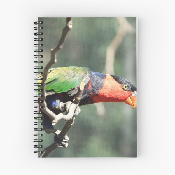Item preview, Red-faced parrot designed and sold by Martina Nicolls.