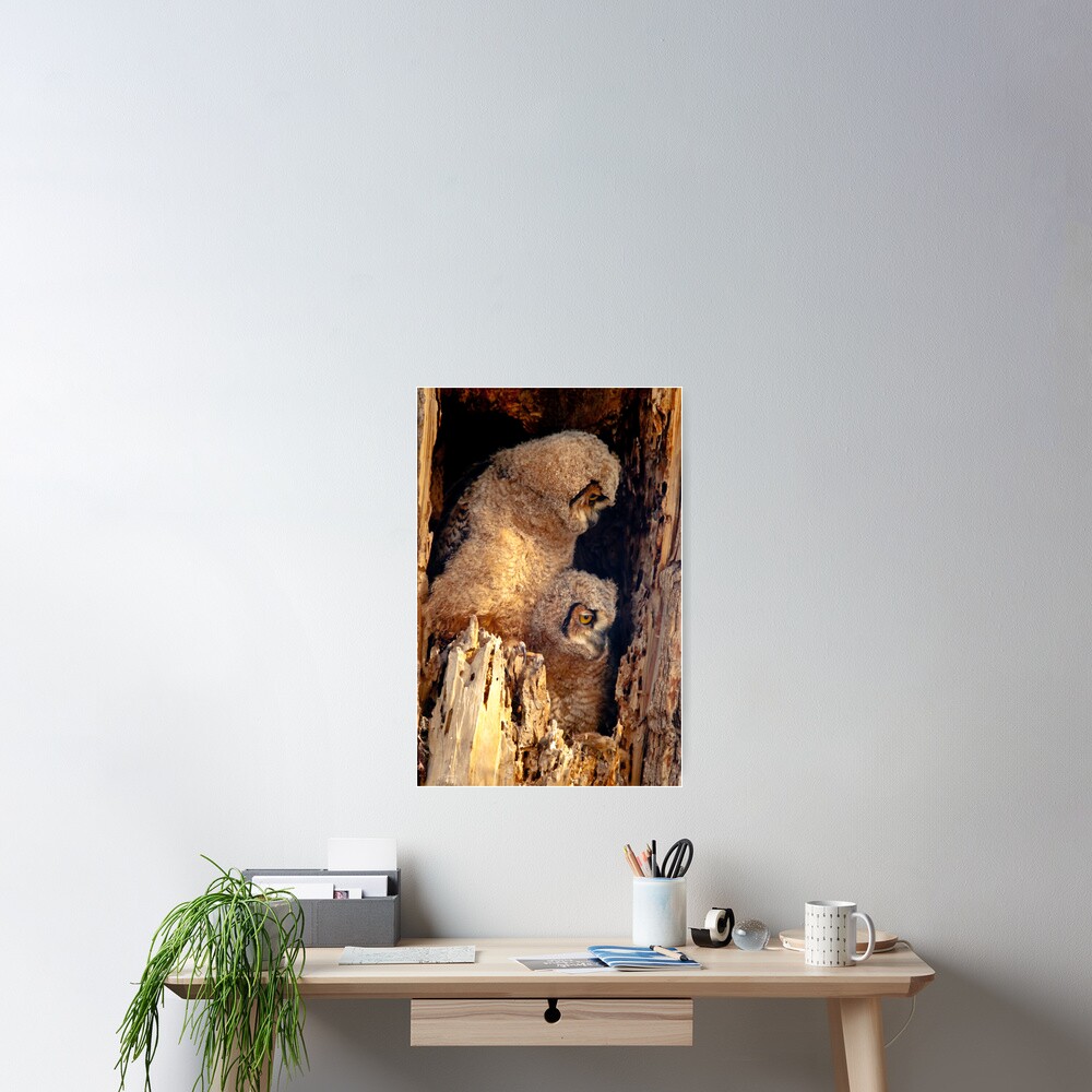 Item preview, Poster designed and sold by nikongreg.