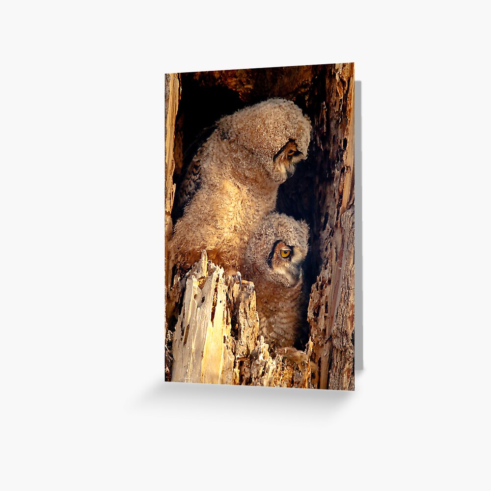 Item preview, Greeting Card designed and sold by nikongreg.