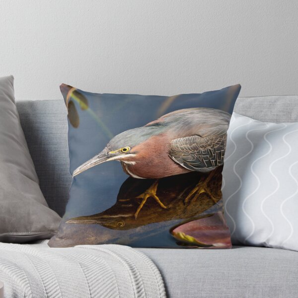 Item preview, STOCK ~ Green Heron #2 designed and sold by akaurora.