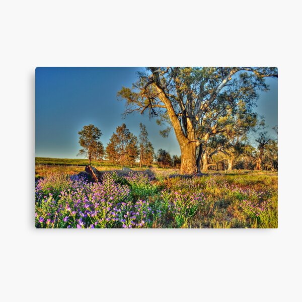 Item preview, Morning Light designed and sold by Terry Everson.