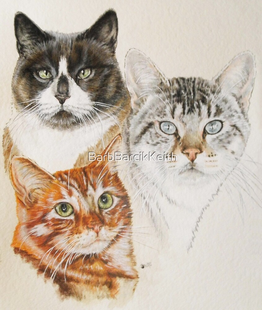 American Shorthairs Portraits In Color By Barbbarcikkeith Redbubble