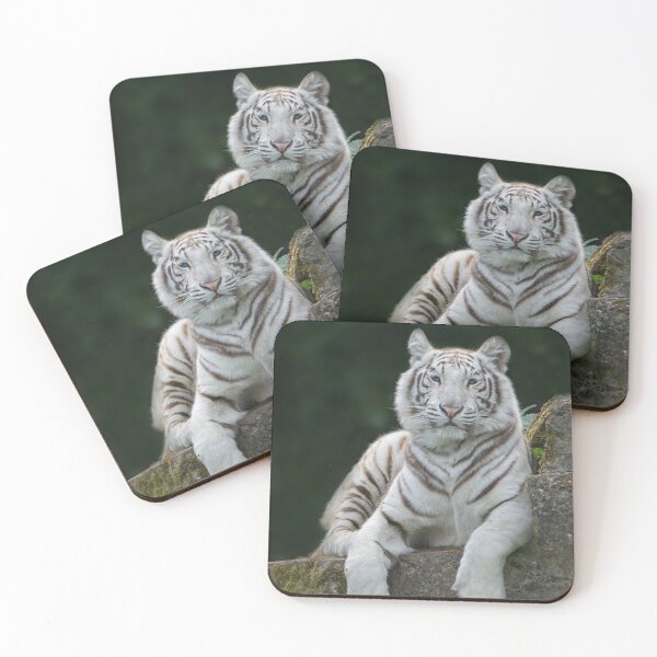 Item preview, White Tiger With Blue Eyes designed and sold by rawshutterbug.