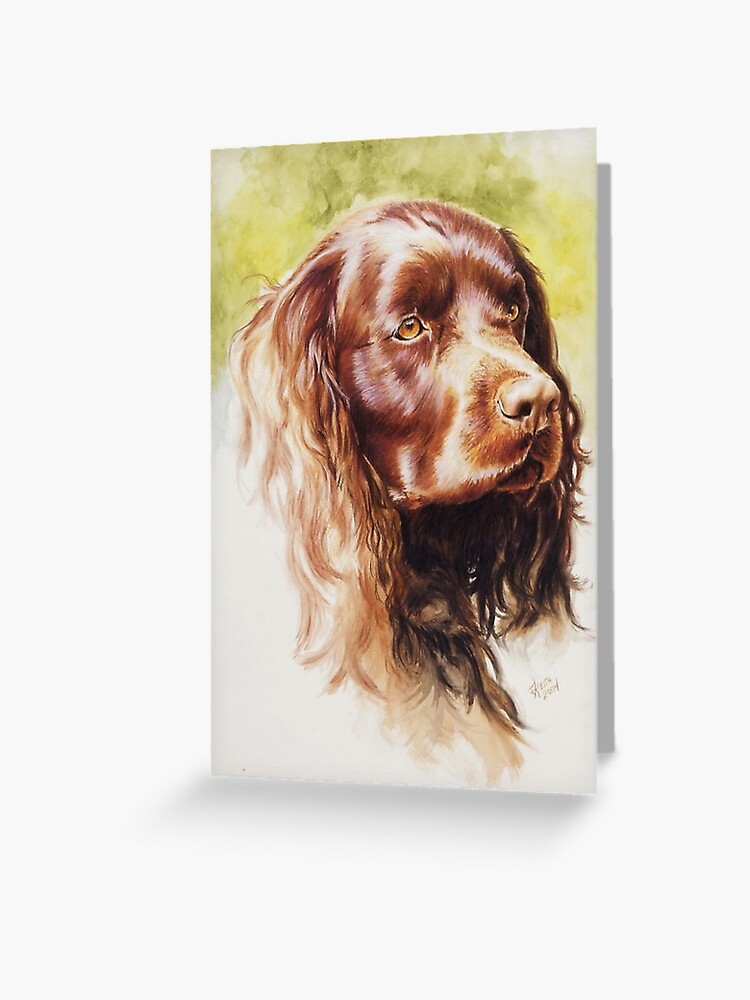 American Water Spaniel in Color Greeting Card