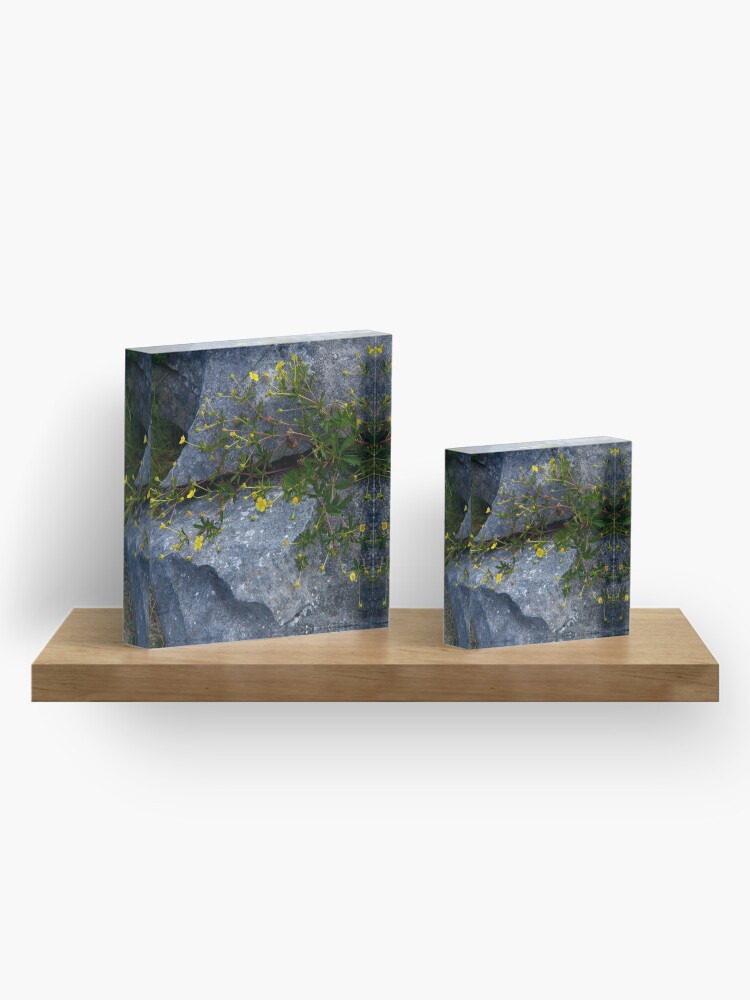 Alternate view of Tormentil, Dun Aengus, Inishmore, Aran Islands Acrylic Block