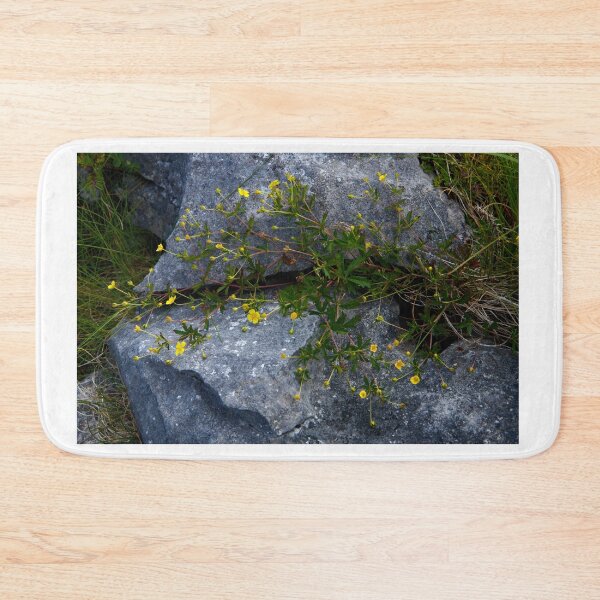 Item preview, Tormentil, Dun Aengus, Inishmore, Aran Islands designed and sold by George Row.