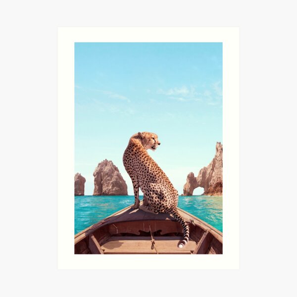 Los Cabos Art Print