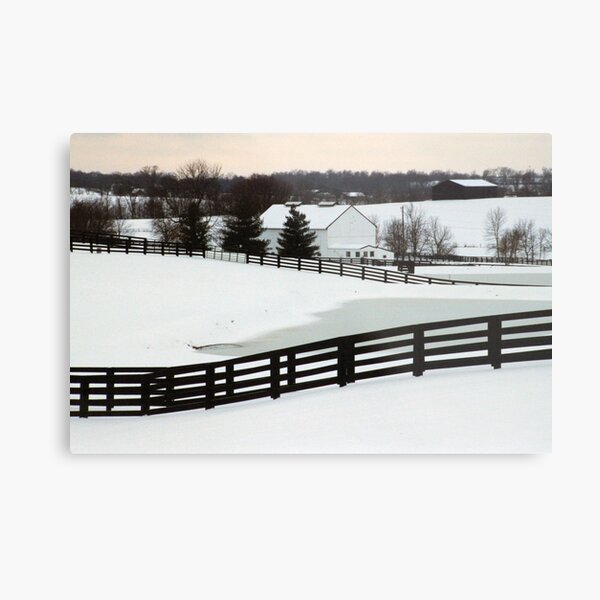 Snowy Day - Richwood Farm Metal Print